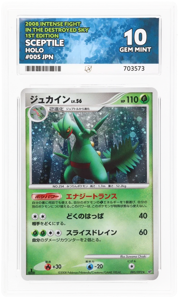 ACE 10   - Sceptile - 005/092 - Intense Fight in the Destroyed Sky - Pokemon - 1st Edition