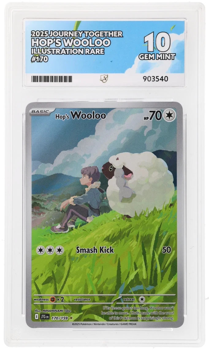 ACE 10 - Hop's Wooloo - 170/159 - Journey Together - Pokemon