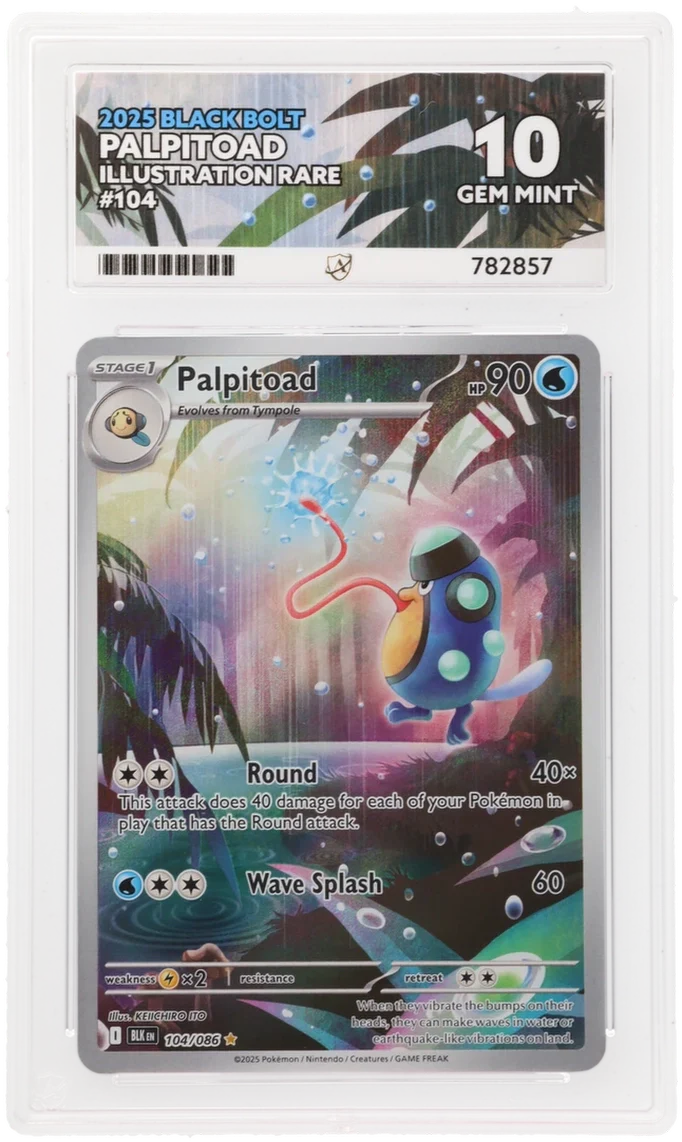ACE 10 - Palpitoad - 104/086 - Black Bolt - Pokemon