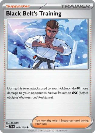 Black Belt's Training - 145/159 145 - SV09 Journey Together Reverse Holofoil