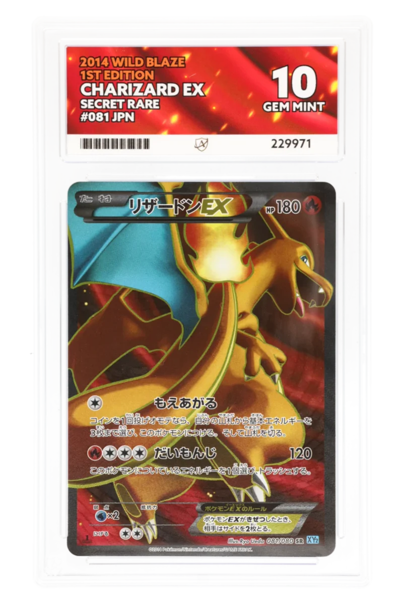 Charizard EX 081/080 - ACE 10 - Wild Blaze - 2014 - Secret Rare