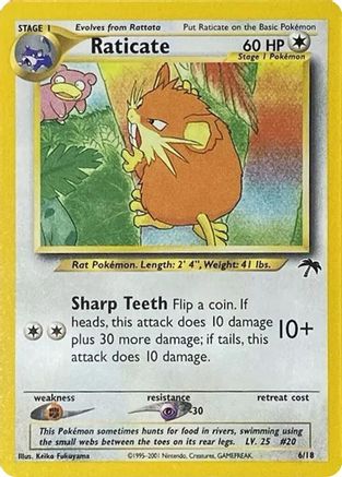 Raticate 6/18 - Southern Islands
